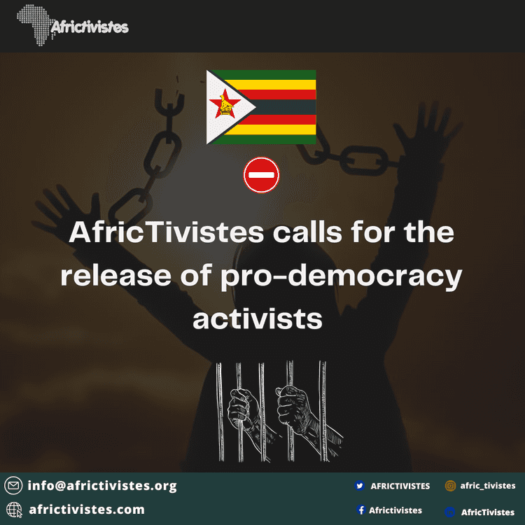 [Zimbabwe] AfricTivistes calls for the release of pro-democracy activists! 