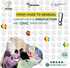 AfricTivistes CitizenLab: From Chad to Senegal — a marathon for innovation and civic participation!