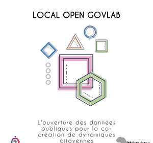 LOCAL OPEN GOVLAB